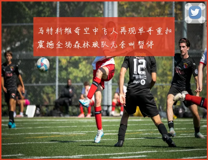 马特科维奇空中飞人再现单手重扣震撼全场森林狼队无奈叫暂停