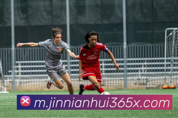 多媒体互动体验